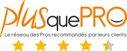 Plus que Pro